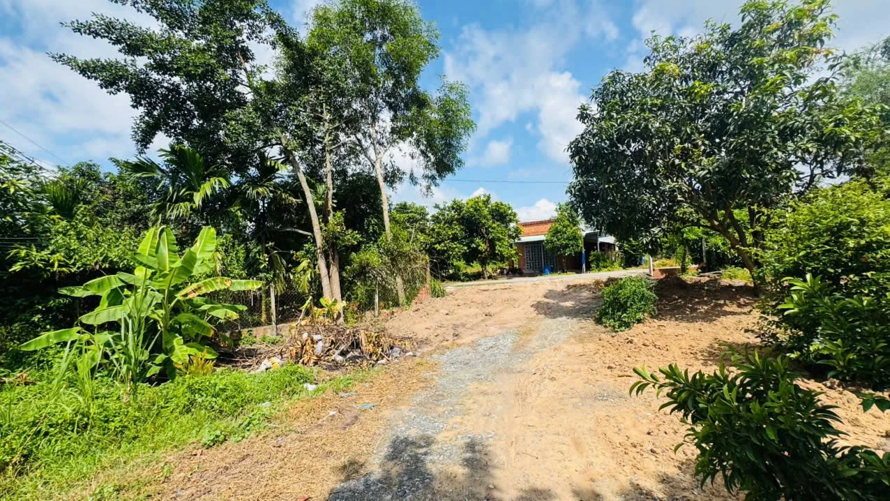 Bán đất 240m² Hưng Thuận Tây Ninh 420 triệu - Ảnh 1