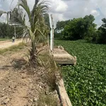 Bán đất lộ ô tô mặt kênh Thạnh Lộc 290 m² 650 triệu - Ảnh thu nhỏ 4