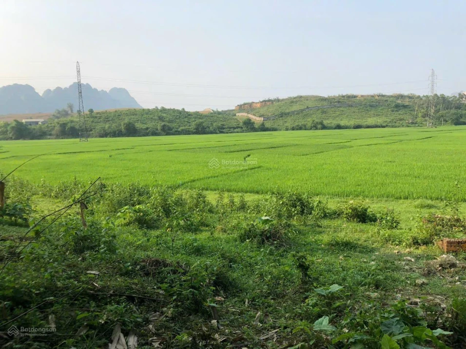 Bán đất 221,9m2 tại Lộc Môn, xã Liên Sơn, 1,2 tỷ, view đẹp chỉ với - Ảnh 1