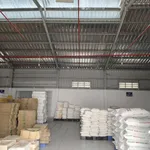 Cho thuê nhà xưởng 1.500m² Chánh Phú, Bình Dương 100 triệu/tháng - Ảnh thu nhỏ 2