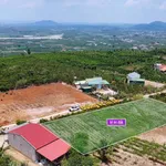 Bán đất mặt tiền Võ Thị Sáu Lâm Đồng 138m² 335 triệu - Ảnh thu nhỏ 2