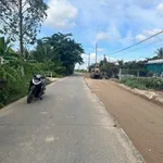 Bán đất nông nghiệp 2100m² xã An Lục Long, Long An - Ảnh thu nhỏ 1