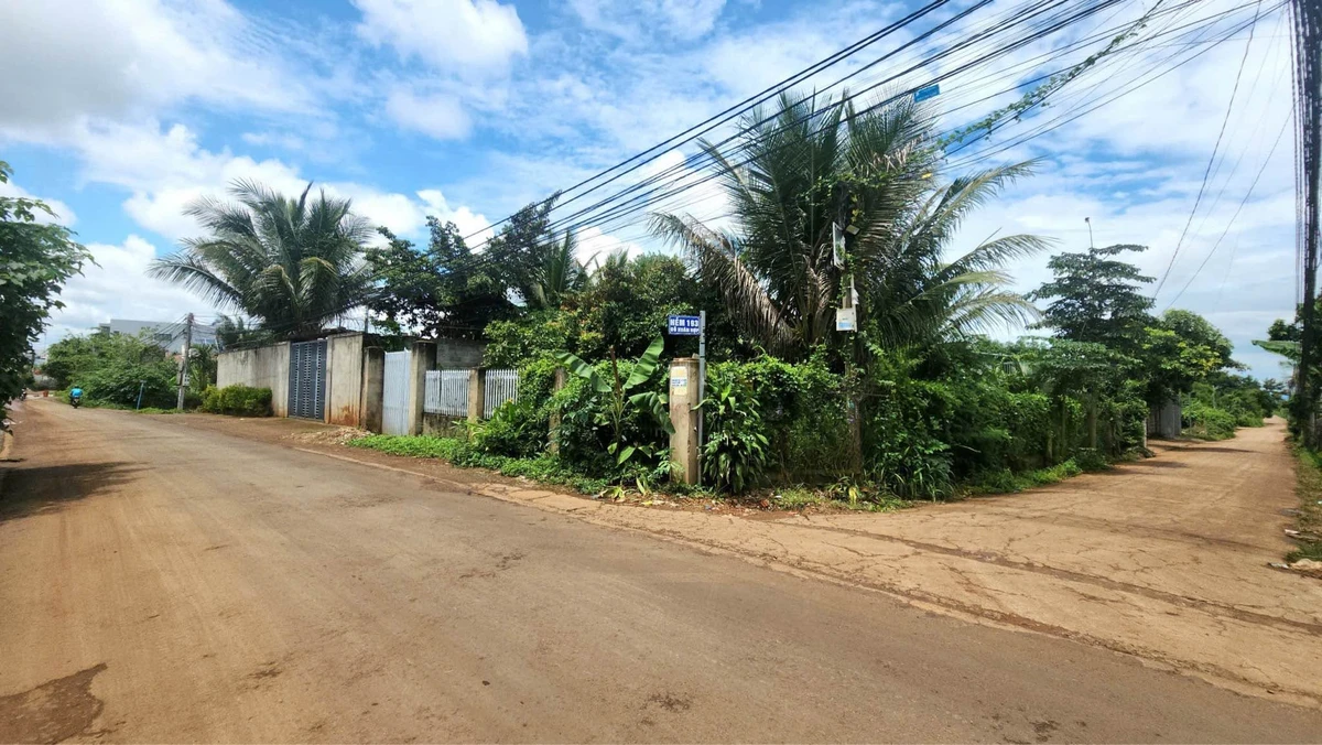 Bán đất mặt tiền Đỗ Xuân Hợp 500m² giá 4 tỷ 250 - Ảnh thu nhỏ 2