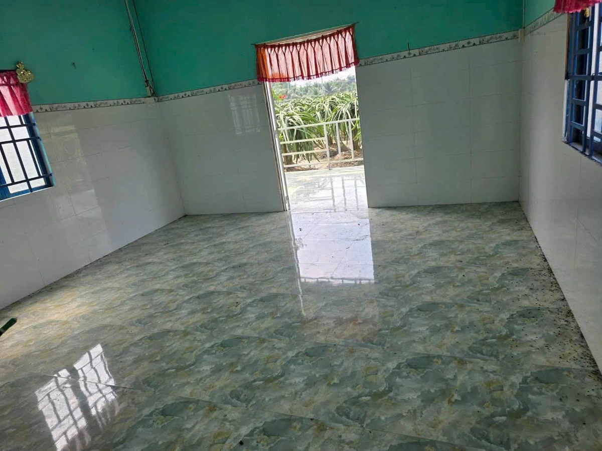 Bán 1500m2 đất lúa tặng nhà cấp 4 kiên cố, cây ăn trái tại Châu Thành, Long An - Ảnh thu nhỏ 3