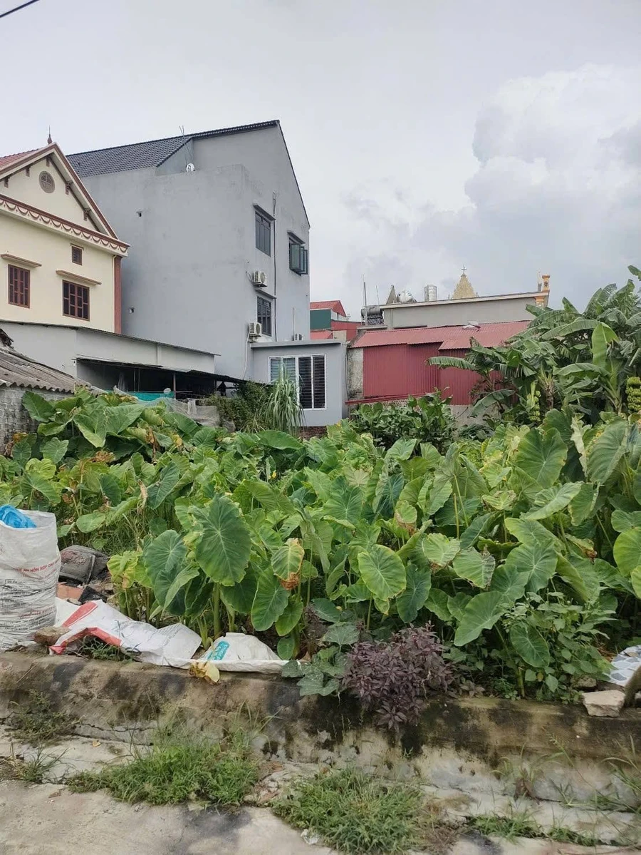 Bán 2 lô đất thổ cư 90-100m², Hải Phòng, 800 triệu/lô - Ảnh thu nhỏ 4