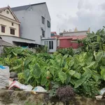 Bán 2 lô đất thổ cư 90-100m², Hải Phòng, 800 triệu/lô - Ảnh thu nhỏ 4