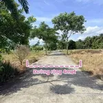 Bán đất Phú Khương, Bến Tre 745m² sổ hồng riêng - Ảnh thu nhỏ 4