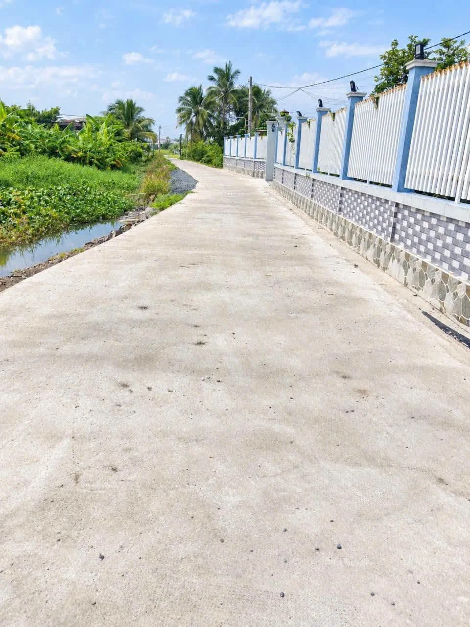 Bán đất 1000m2 có nhà cấp 4 ở Cần Dước, Long An - 2.8 tỷ - Ảnh 1