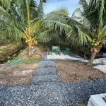 Bán vườn dừa mặt tiền lộ nhựa 8400m² Cần Giờ - Ảnh thu nhỏ 4