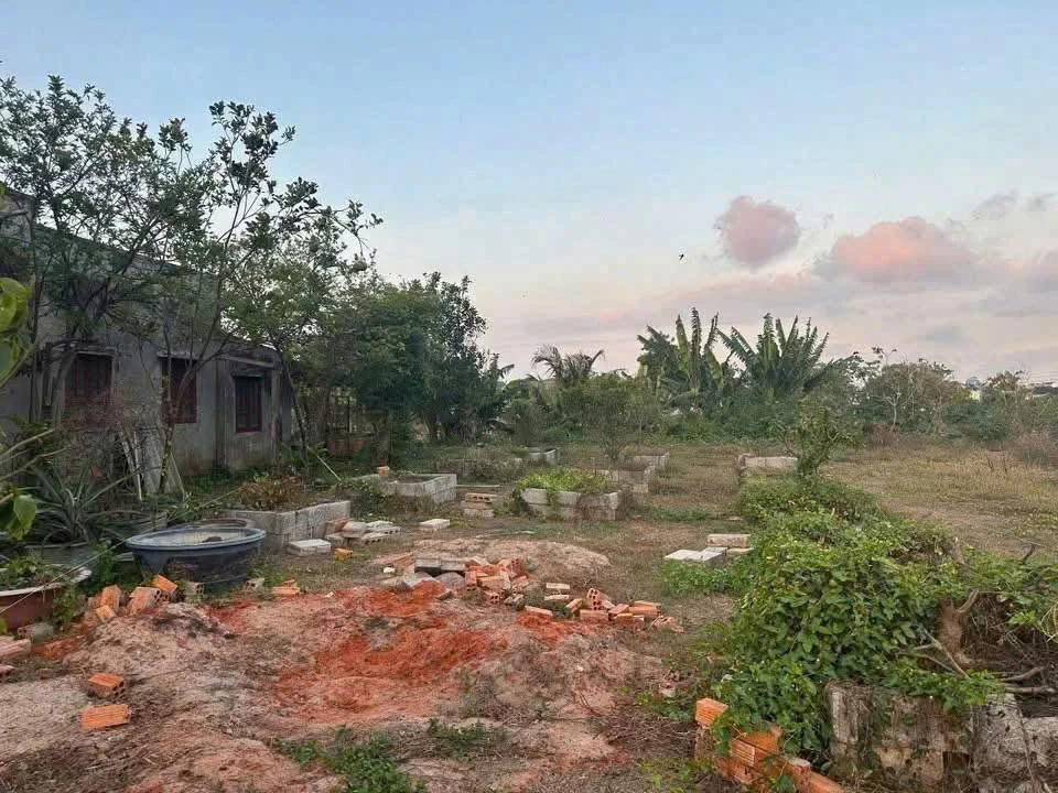 Bán đất 100m² Phan Thiết, sổ riêng, giá 660 triệu - Ảnh thu nhỏ 2
