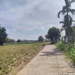 Bán đất Hóc Môn 120m² gần Thạch Bích 4 tỷ - Ảnh thu nhỏ 2
