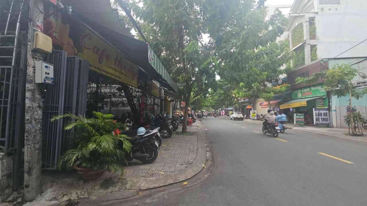 Bán mặt tiền kinh doanh Phạm Văn Bạch 184.75m² Gò Vấp - Ảnh thu nhỏ 2