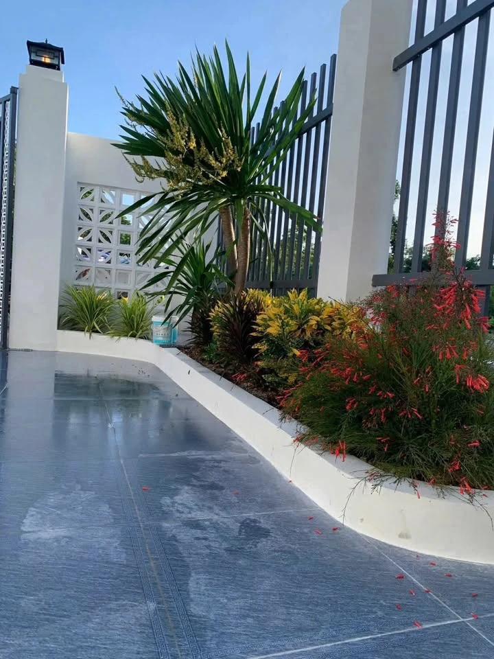 Bán nhà 3 phòng ngủ 140m² Tây Ninh 1 tỷ 600 - Ảnh thu nhỏ 3
