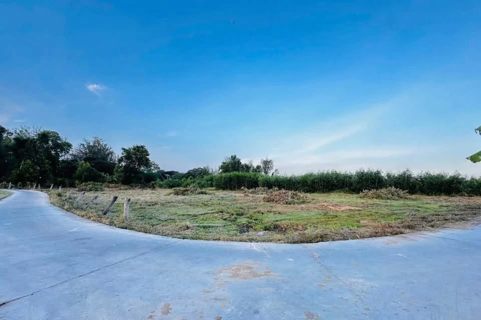 Bán lô đất nền 1000m2 ở Lâm Đồng giá 390 triệu - Ảnh thu nhỏ 4