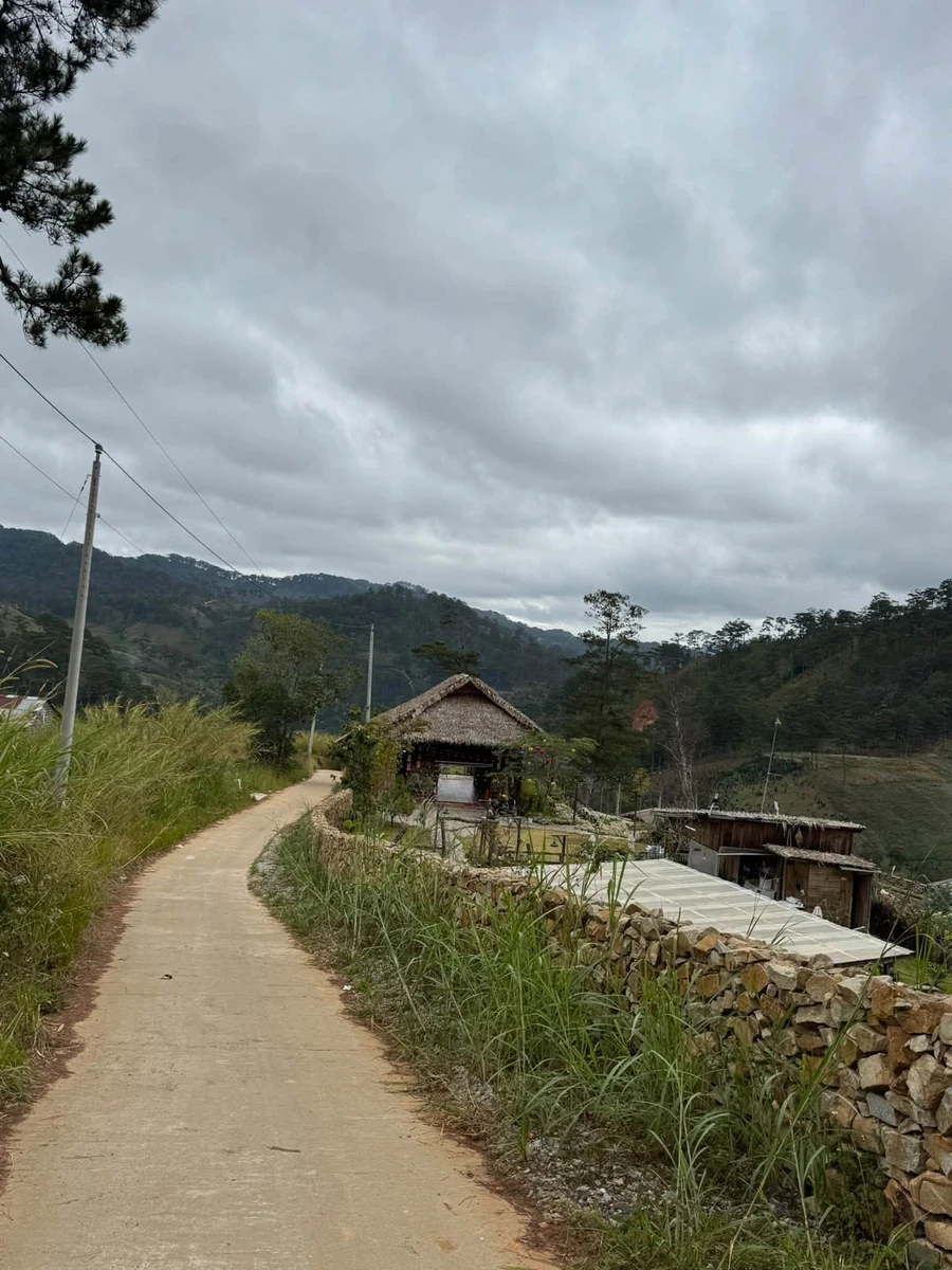 Bán 8ha đất Bãi Ruộng 2 view suối, giá 200 triệu/1.000m², xã Đạ Sar, Lạc Dương, Lâm Đồng - Ảnh thu nhỏ 2