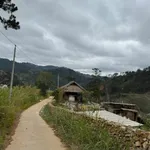Bán 8ha đất Bãi Ruộng 2 view suối, giá 200 triệu/1.000m², xã Đạ Sar, Lạc Dương, Lâm Đồng - Ảnh thu nhỏ 2
