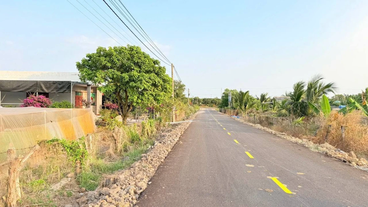 Bán đất 1000m2 ở thị trấn Phước Hải, Khánh Hòa, 4,2 tỷ - Ảnh thu nhỏ 2