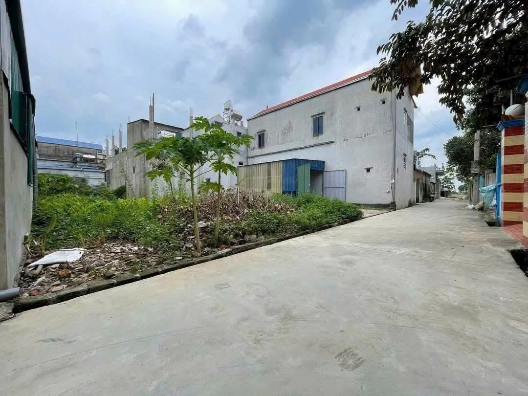 Bán đất 50m² Đồng Trữ, Phú Nghĩa, Chương Mỹ, giá 2 tỷ - Ảnh thu nhỏ 2