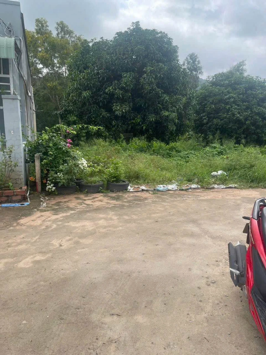 Bán đất đường ôtô Hải Lâm Long Hải 174m² giá 1 tỷ 5 - Ảnh thu nhỏ 3