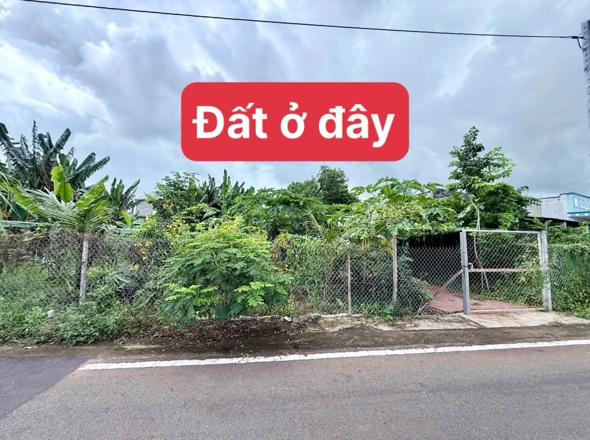 Bán đất mặt tiền Phước Thọ 360m2, Đất Đỏ - Ảnh thu nhỏ 3
