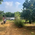 Bán đất góc 360m² tại Tân Lạc Hòa Bình giá 199 triệu - Ảnh thu nhỏ 2