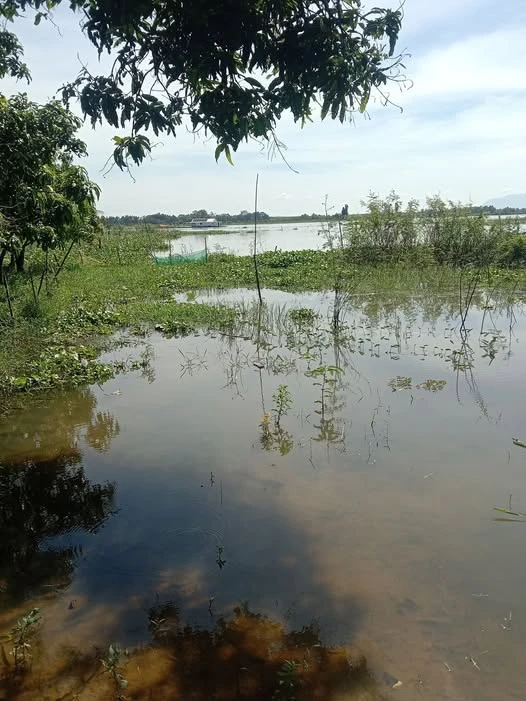 Bán đất vườn view hồ Trị An 1.178m² Định Quán - Ảnh thu nhỏ 2