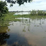 Bán đất vườn view hồ Trị An 1.178m² Định Quán - Ảnh thu nhỏ 2
