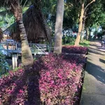 Nền ven sông và lộ nhựa khu công nghiệp Bình Minh (ngay cầu Cần Thơ) giá 1 tỷ 350 - Ảnh thu nhỏ 3