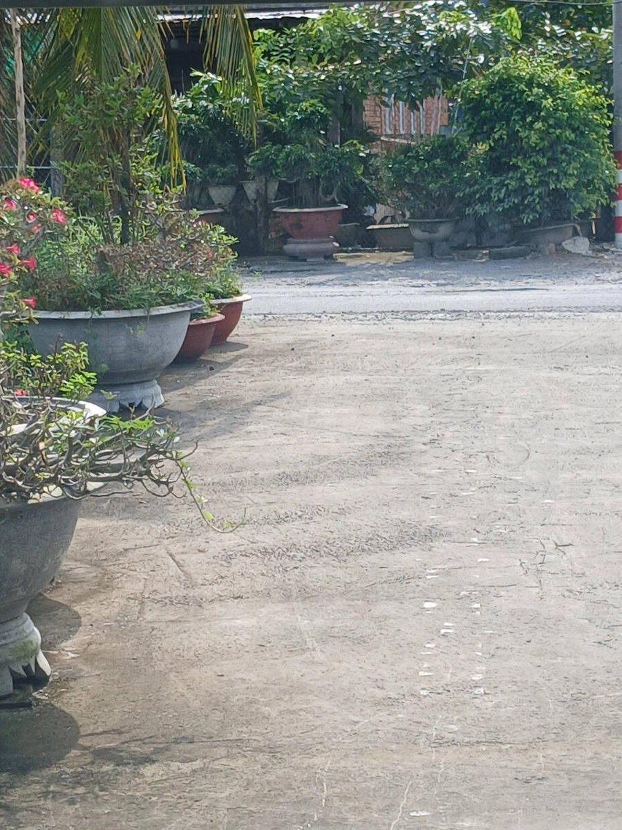 Bán nhà mặt tiền Phạm Văn Ngô Long An 480m² 2 tỷ - Ảnh thu nhỏ 2