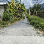 Bán đất vườn 2000m2 đường Đá Xanh Bến Lức 2 tỷ 400 triệu - Ảnh thu nhỏ 2