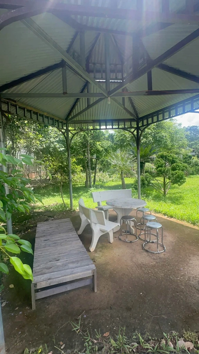 Bán gấp lô đất 4100m2 view rừng thông đường Mimoza, Đà Lạt giá 8,5 tỷ - Ảnh thu nhỏ 4