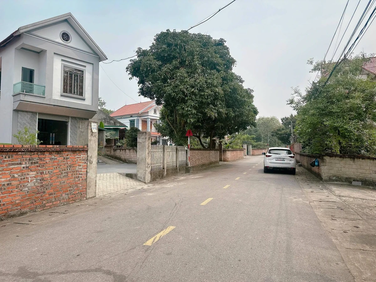 Bán đất Khu 3 Thanh Đình 220m2 gần Tôn Đức Thắng - Ảnh 1