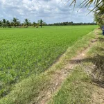 Bán đất ruộng 8.5 công, mặt tiền kinh, Phong Thạnh, Vĩnh Long - Ảnh thu nhỏ 1
