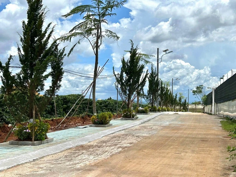 Bán đất thổ cư 100m² từ 570 triệu Tân Hà Lâm Đồng
