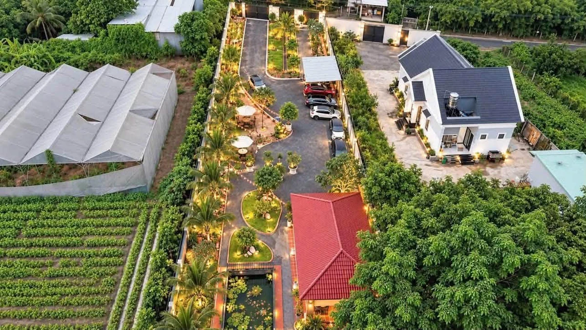 Bán đất mặt tiền ĐX 078 Định Hòa 1.626m², 2 tỷ - Ảnh thu nhỏ 4