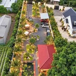 Bán đất mặt tiền ĐX 078 Định Hòa 1.626m², 2 tỷ - Ảnh thu nhỏ 4