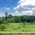 Bán đất vườn 13.372m² Hiệp Thạnh Tây Ninh 25 tỷ - Ảnh thu nhỏ 2