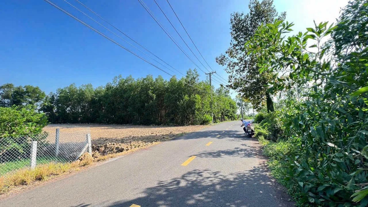 Bán đất mặt tiền Phạm Hùng 1441m2 Bà Rịa - Vũng Tàu - Ảnh thu nhỏ 2