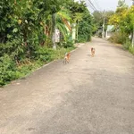 Bán đất thổ cư 100m2 đường nhánh Bà 39, Phú An giá 1,45 tỷ - Ảnh thu nhỏ 3