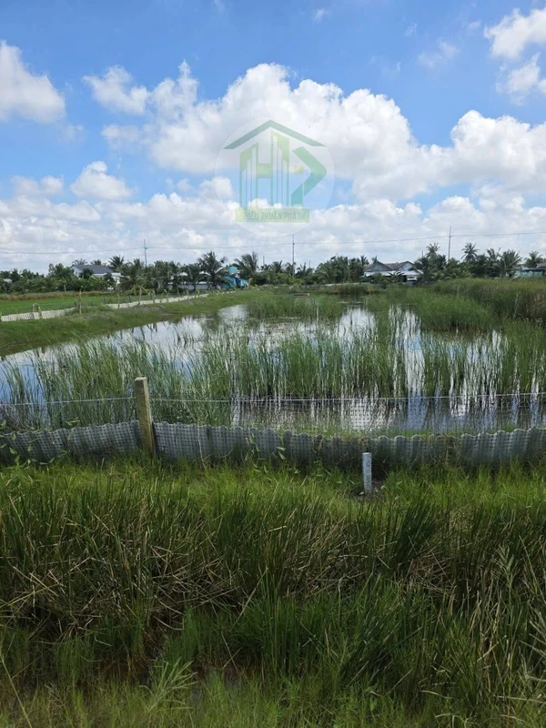 Bán nền 750m² ở Xã Ninh Thạnh Lợi, Cà Mau 450 triệu