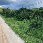 Bán rẫy cà phê 2,5ha ở Gia Nghĩa, Đắk Nông, giá 5 tỷ - Ảnh thu nhỏ 5