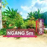 Bán lô đất hẻm Cần Giuộc Long An 80m² 1 tỷ 650 - Ảnh thu nhỏ 1