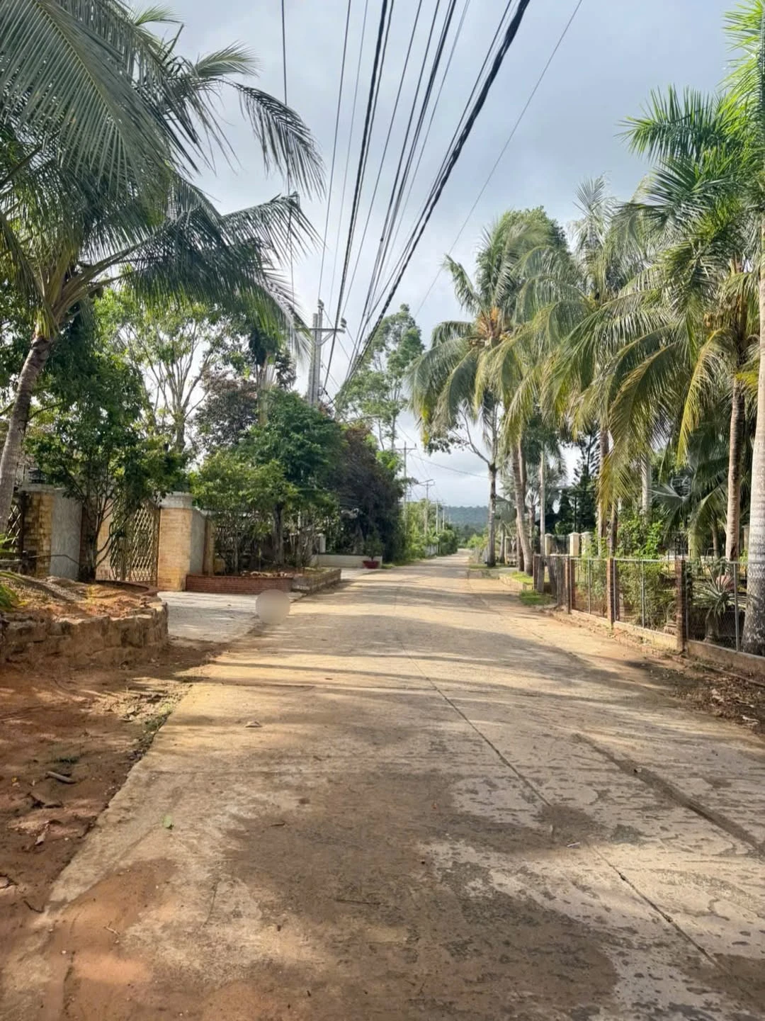 Bán đất xây biệt thự 500m2 mặt tiền 35m Dương Đông - Ảnh 1