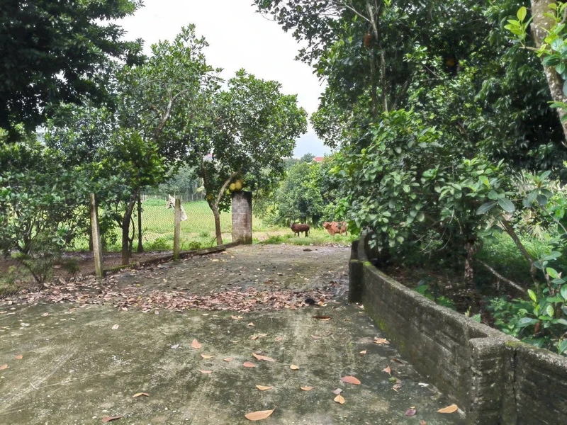 Bán đất nghỉ dưỡng Ba Vì 1.339m² chỉ 2 tỷ