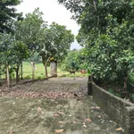Bán đất nghỉ dưỡng Ba Vì 1.339m² chỉ 2 tỷ - Ảnh thu nhỏ 1