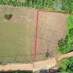Bán đất sào view suối thổ cư 1 tỷ 840 tại Ea Tiêu - Ảnh thu nhỏ 1