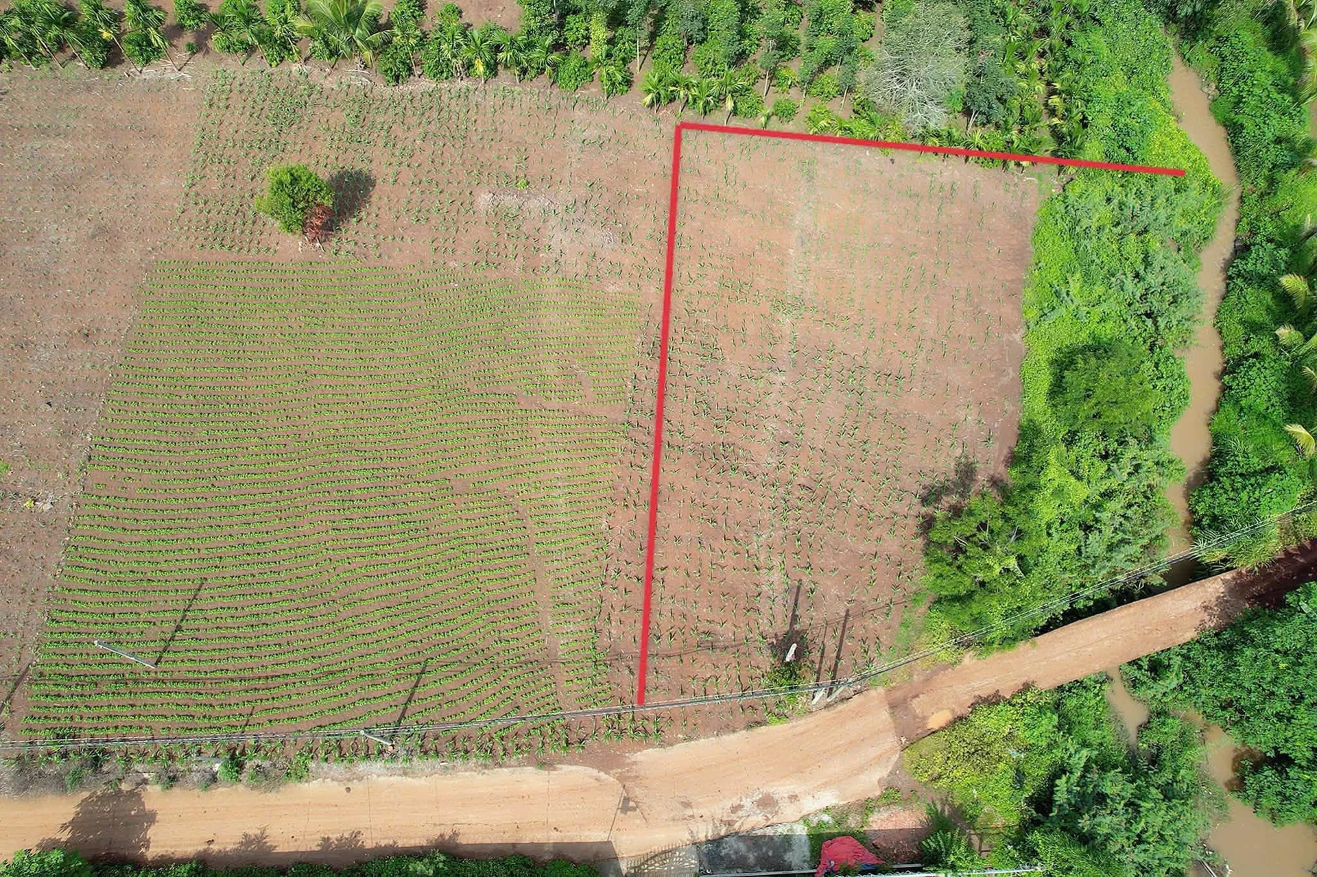 Bán đất sào view suối thổ cư 1 tỷ 840 tại Ea Tiêu - Ảnh 1