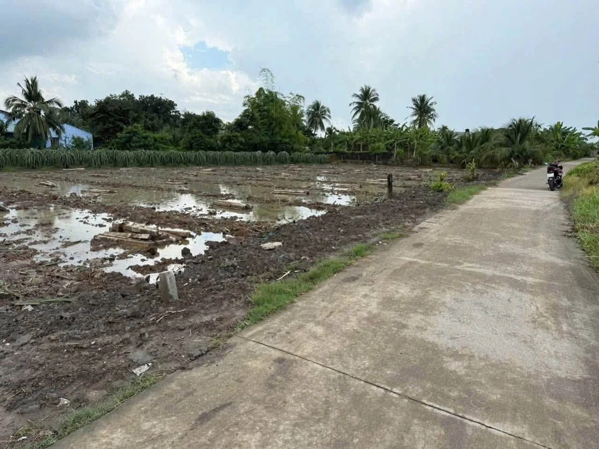 Bán đất 165m² mặt tiền đường Đan, Tây Ninh 350 triệu - Ảnh thu nhỏ 2