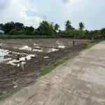 Bán đất 165m² mặt tiền đường Đan, Tây Ninh 350 triệu - Ảnh thu nhỏ 2