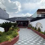 Bán nhà sân vườn mái Nhật 300m2 mặt tiền đường kinh doanh, Xã Phước Lý, Cần Giuộc - Ảnh thu nhỏ 2